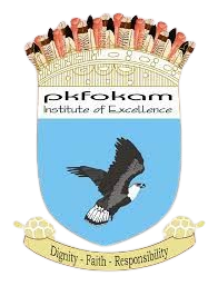 Logo PKFokam Institute of Excellence